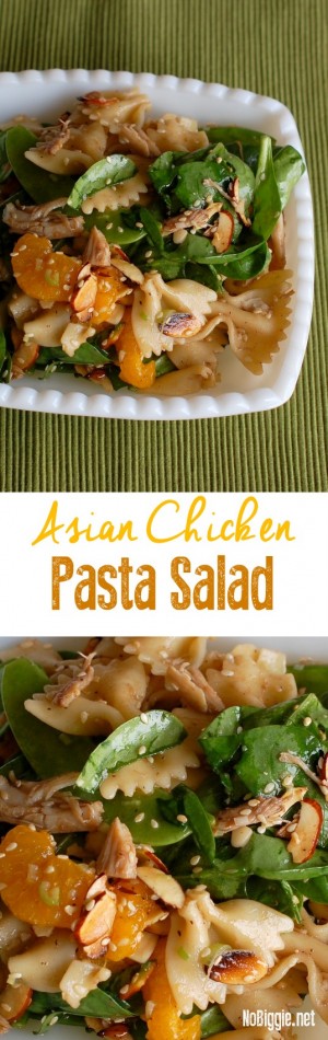 Asian Chicken Pasta Salad | NoBiggie