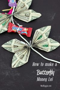 How to Make a Butterfly Money Lei