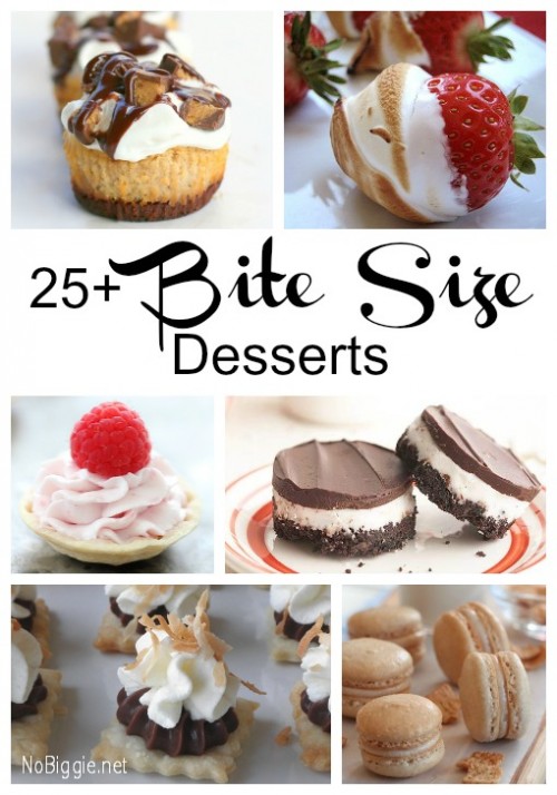 25+ Bite Size Desserts | NoBiggie