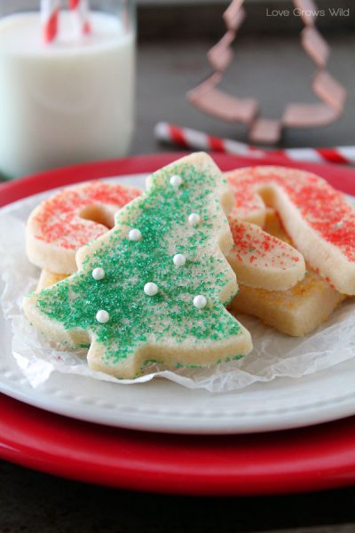 25+ More Christmas Cookie Exchange Recipes | NoBiggie