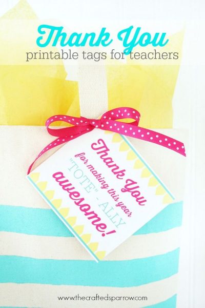 25+ MORE Teacher Appreciation Week Ideas | NoBiggie