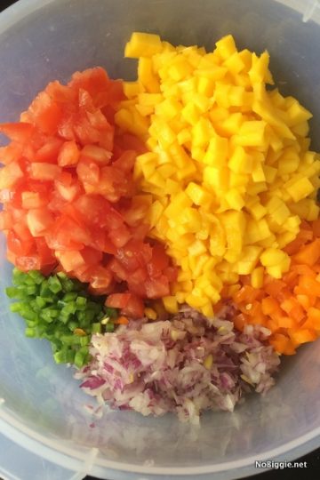 Fresh Mango Salsa | NoBiggie