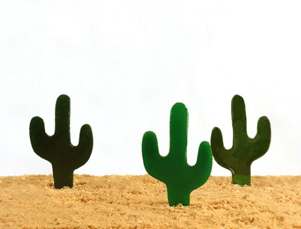 25+ Cactus Crafts and DIY | NoBiggie