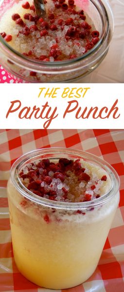 The Best Party Punch NoBiggie   The Best Party Punch Great For A Crowd Recipe On NoBiggie.net  255x600 