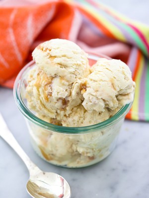 25+ Homemade Ice Cream Recipes | NoBiggie