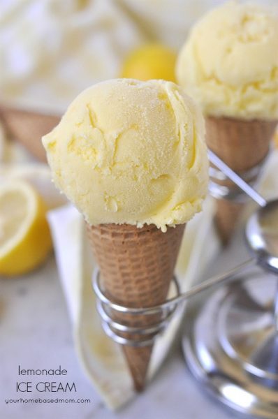 25+ Homemade Ice Cream Recipes | NoBiggie