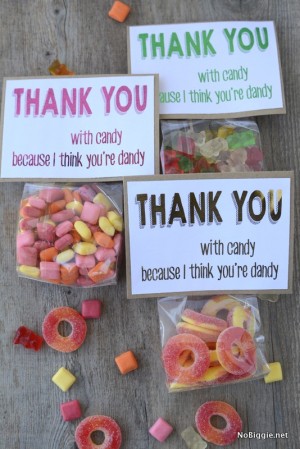 Free Printable Candy Thank You Note | NoBiggie