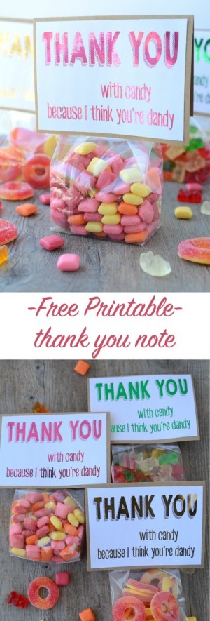 Free Printable Candy Thank You Note | NoBiggie