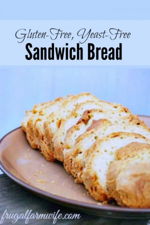 25+ Quick Bread Recipes (No Yeast Required) | NoBiggie