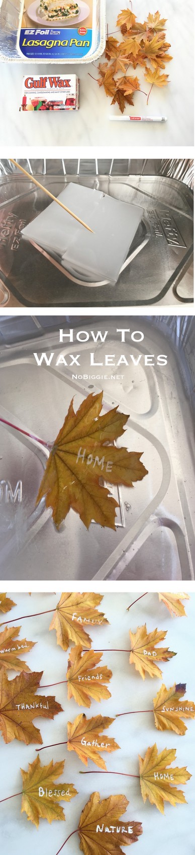Clover Lane: A Great Fall Activity: Waxing Leaves