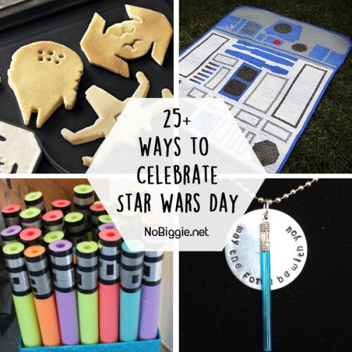 25+ Star Wars Day Ideas | NoBiggie