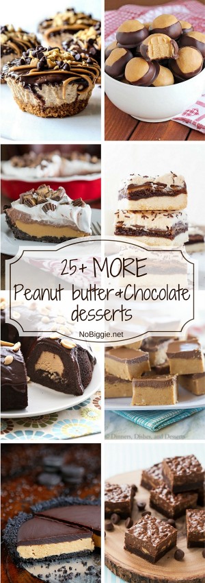 25+ MORE Peanut Butter and Chocolate Desserts | NoBiggie.net