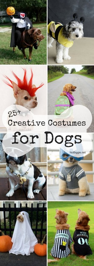 25+ Creative Costumes for Dogs | NoBiggie