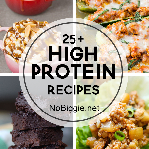 25+ High Protein Recipes | NoBiggie