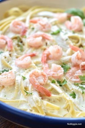 Better than Olive Garden Alfredo Sauce | NoBiggie