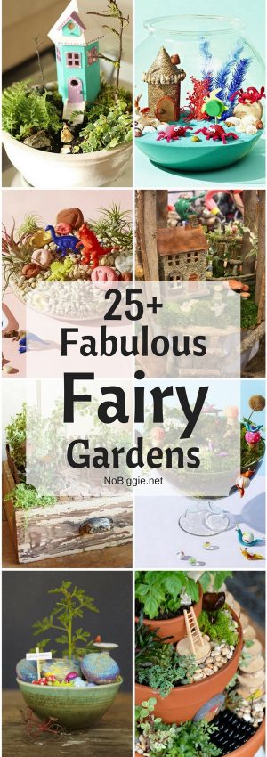 25+ Fabulous Fairy Gardens | NoBiggie