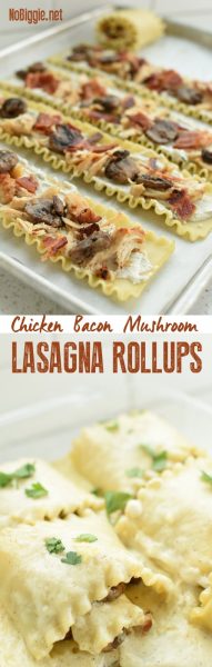 Chicken Bacon Mushroom Lasagna Rollups | NoBiggie