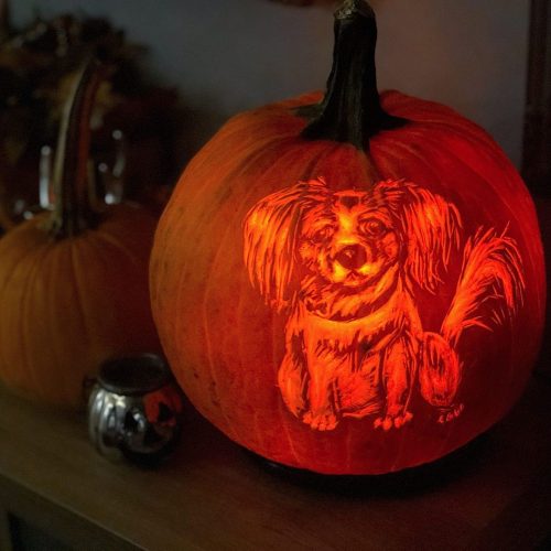 25+ Creative Carved Pumpkins | NoBiggie