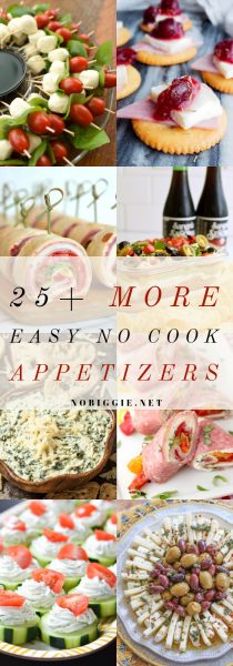 25+ MORE Easy No Cook Appetizers | NoBiggie