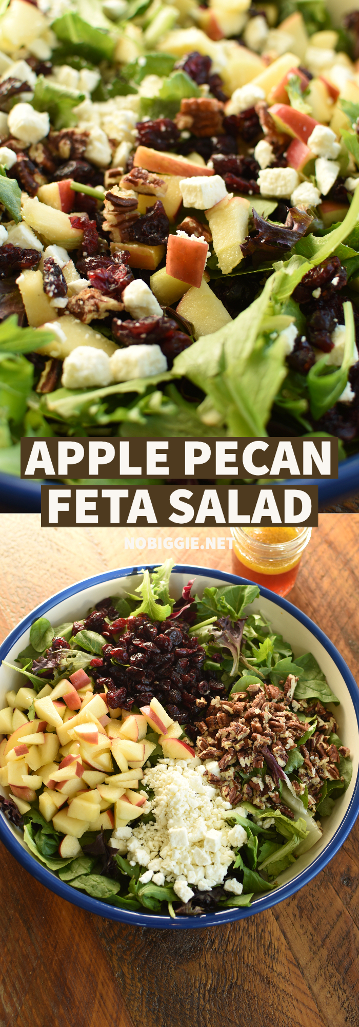 Apple Pecan Feta Spinach Salad | NoBiggie