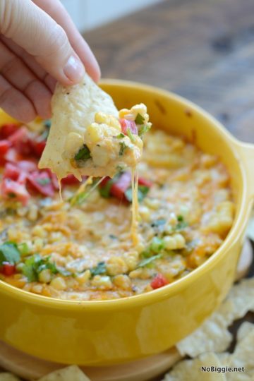 25+ Savory Dip Recipes | NoBiggie.net