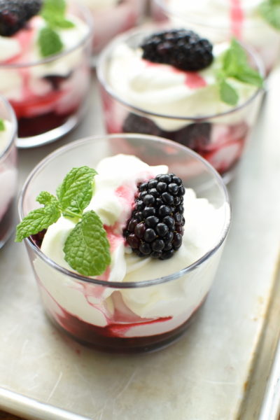 Blackberry Fool | NoBiggie