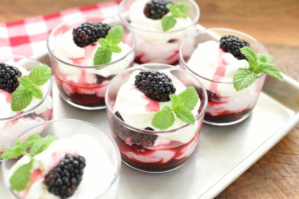 Blackberry Fool | NoBiggie